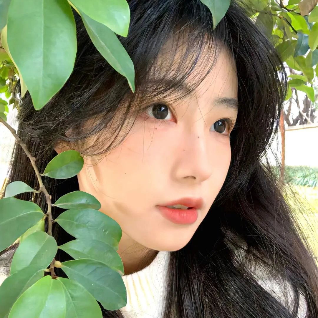 某个世界